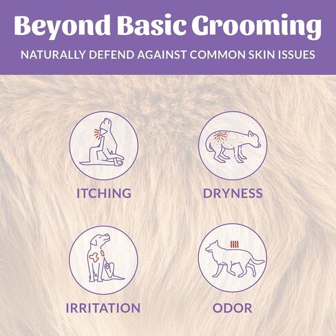 SKOUT'S HONOR: Probiotic Pet Shampoo & Conditioner - 2-in-1 with Avocado Oil - Cleans and Conditions Fur, Supports Pet’s Natural Defenses, PH-Balanced, Sulfate-Free - Lavender - 16 oz. in Saudi Arabia
