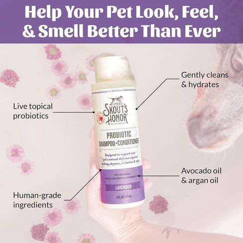 SKOUT'S HONOR: Probiotic Pet Shampoo & Conditioner - 2-in-1 with Avocado Oil - Cleans and Conditions Fur, Supports Pet’s Natural Defenses, PH-Balanced, Sulfate-Free - Lavender - 16 oz. in Saudi Arabia