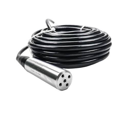 4-20mA Hydrostatic Pool Water Level Transmitter Analog Water Treatment Pressure Level Sensor(30m Range) in Saudi Arabia