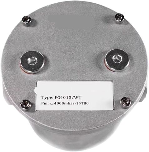 1PC مرشح الغاز خط أنابيب FG4040FT/FG4050FT/FG4065FT/FG4080FT (FG4080FT) in Saudi Arabia