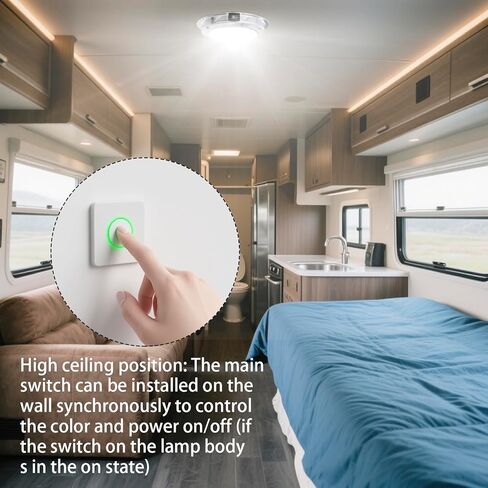 Dome Light with Manual Switch,4-Color Boat Ceiling, Cabin Light,Stainless Steel Surface Mount DC10-30V (RGBW(00541), 5-inch) in Kuwait