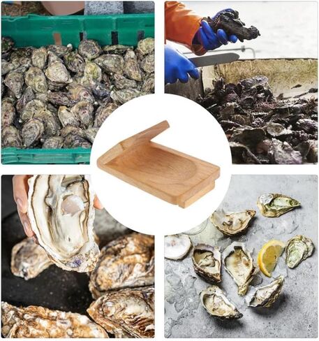 Oyster Oyster Opener Seucker Seafood Clamp Clamp Tool حامل محار in Saudi Arabia