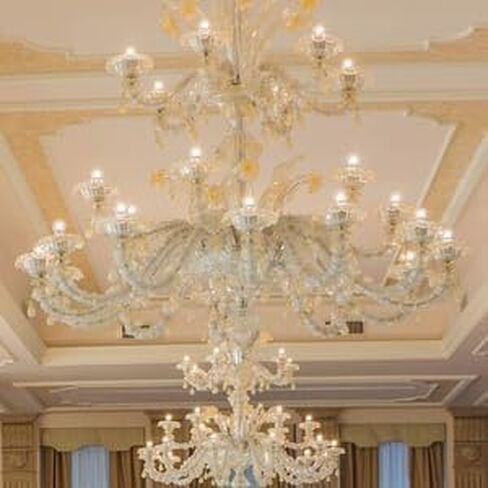 12 حزمة من قاعدة الشمعدانات 120 فولت 40 وات لمبات إضاءة قابلة للتعتيم بطرف لهب عتيق شفاف، مصابيح إضاءة زخرفية للشموع للثريات وأضواء مروحة السقف والمعلقات والمدفأة in Kuwait