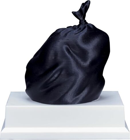 Trash Bag Trophy - جائزة Garbage الأخيرة الفكاهية - جائزة القمامة المضحكة المخصصة - تخصيص الآن (4.5 بوصة) in Saudi Arabia