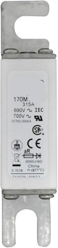 170M2710 170M2711 170M2712 170M2713 FUSE الدفاع الجوي المدني (170M2712) in Saudi Arabia