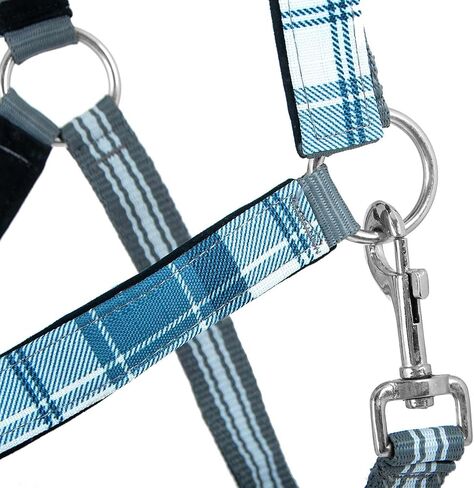 Jeffers Poplar Head Horse Halter and Lead Rope Set, Full Size – Fleece Lined Padded Nylon Adjustable Halter for Horses – Equestrian Training Tack Gear for Riding, Trail, Ranch, or Stable Use in Kuwait