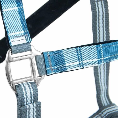 Jeffers Poplar Head Horse Halter and Lead Rope Set, Full Size – Fleece Lined Padded Nylon Adjustable Halter for Horses – Equestrian Training Tack Gear for Riding, Trail, Ranch, or Stable Use in Kuwait