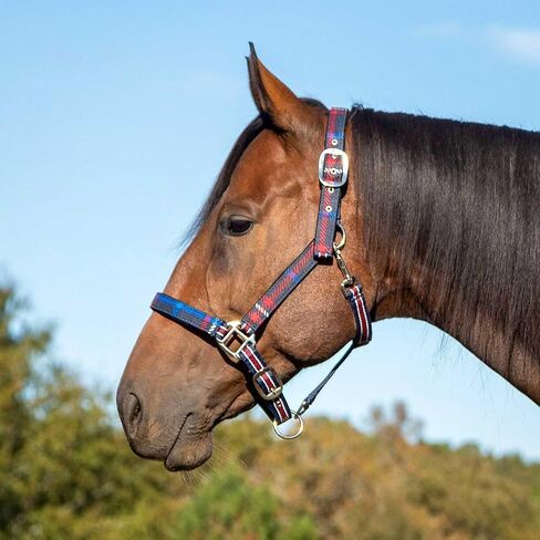 Jeffers Poplar Head Horse Halter and Lead Rope Set, Full Size – Fleece Lined Padded Nylon Adjustable Halter for Horses – Equestrian Training Tack Gear for Riding, Trail, Ranch, or Stable Use in Kuwait