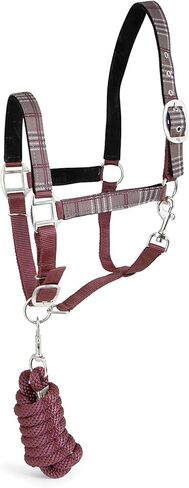 Jeffers Poplar Head Horse Halter and Lead Rope Set, Full Size – Fleece Lined Padded Nylon Adjustable Halter for Horses – Equestrian Training Tack Gear for Riding, Trail, Ranch, or Stable Use in Kuwait