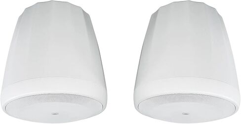 JBL Professional C60PS/T Hanging Pendant Subwoofer with Passive Crossover, Black, Sold as Pair in Saudi Arabia