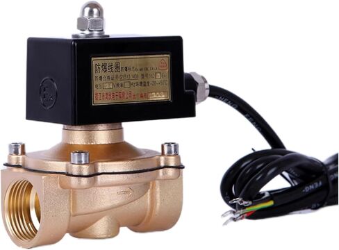1-1/2 بوصة عادةً صمام الملف اللولبي النحاسي المغلقة 220V 24V إثبات الانفجار LGP لفائف الانفجار الصمام المقاوم للانفجار (1-1/2 "BSP ، DC24) in Kuwait
