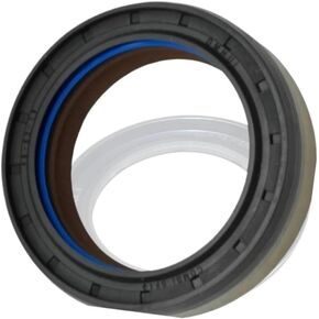 المواد SF19 النوع 12036965B لمزيج SF19 ختم الزيت للآلات الزراعية مع 48 × 65 × 19 مم in Kuwait