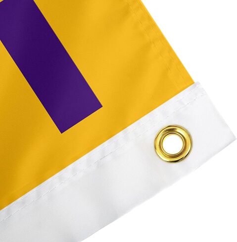 Desert Cactus Louisiana University Flag - 3 × 5 أقدام لافتة LSU Tigers ، النسيج المتين الداخلي/الخارجي ، تصميم البوليستر 100 ٪ (النمط Q) in Saudi Arabia