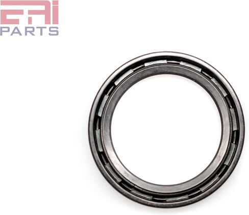 EAI OIL SEAL 1.375 "x1.875" x0.250 "TC Double Lip w/Spring. 1 3/8" x1 7/8 " in Saudi Arabia