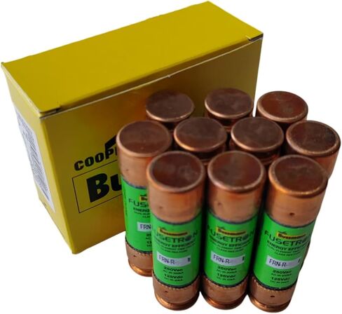 10pcs FRN-R-10 10A 250V العنصر المزدوج تأخير وقت التأخير in Saudi Arabia