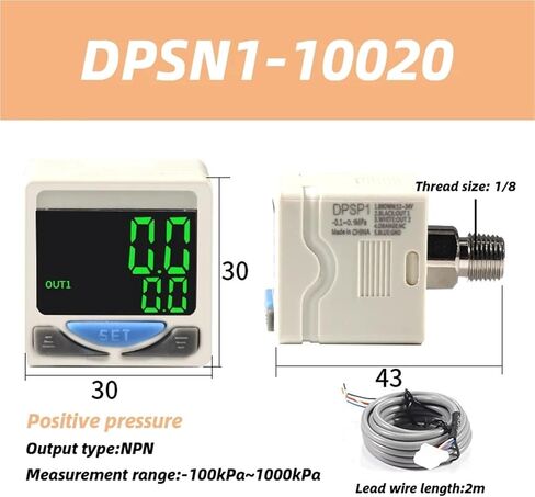 Type Pneumatic Electronic Digital Pressure Switch DPS Digital Meter DPSN1-01020 DPSN1-10020 DPSP1-10020 DPSP1-01020(DPSN1-10030) in Kuwait