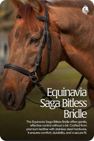Equinavia Saga Cross-Under English Bitless Bridle for Horses | Reins Included in Saudi Arabia