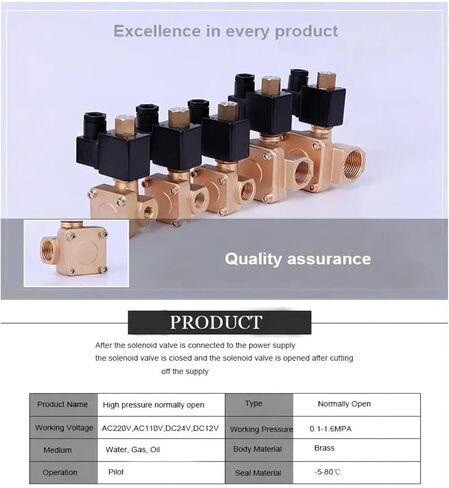 1-1/4 '' المفتوح عادة 16bar صمام الملف اللولبي الطيار الذي يتصرف 220V 12V 24V صمام الملف اللولبي النحاس العالي (DC24) in Saudi Arabia