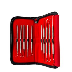 مجموعة التحقيق الدقيقة المكونة من 10 قطع من أخصائي صحة الأسنان تختار العناية بالفم من فردي ومزدوج بأحجام مختلفة - تشمل حالة حمل - أدوات طب الأسنان من الفولاذ المقاوم للصدأ الألماني in Kuwait