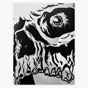 "Skull" Sticker Bumper Sticker Vinyl Decal 5" in Kuwait