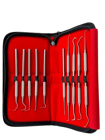 مجموعة التحقيق الدقيقة المكونة من 10 قطع من أخصائي صحة الأسنان تختار العناية بالفم من فردي ومزدوج بأحجام مختلفة - تشمل حالة حمل - أدوات طب الأسنان من الفولاذ المقاوم للصدأ الألماني in Kuwait