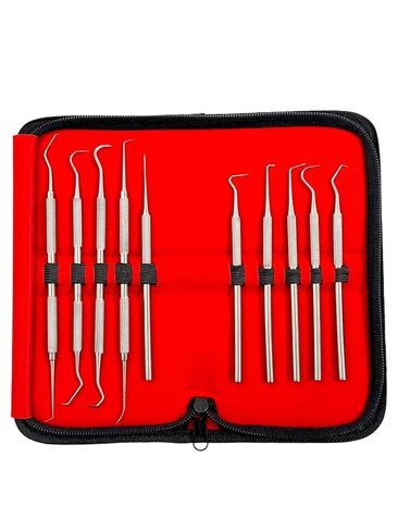 مجموعة التحقيق الدقيقة المكونة من 10 قطع من أخصائي صحة الأسنان تختار العناية بالفم من فردي ومزدوج بأحجام مختلفة - تشمل حالة حمل - أدوات طب الأسنان من الفولاذ المقاوم للصدأ الألماني in Kuwait