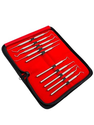 مجموعة التحقيق الدقيقة المكونة من 10 قطع من أخصائي صحة الأسنان تختار العناية بالفم من فردي ومزدوج بأحجام مختلفة - تشمل حالة حمل - أدوات طب الأسنان من الفولاذ المقاوم للصدأ الألماني in Kuwait