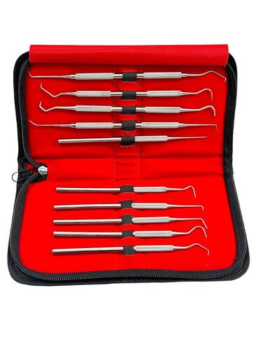 مجموعة التحقيق الدقيقة المكونة من 10 قطع من أخصائي صحة الأسنان تختار العناية بالفم من فردي ومزدوج بأحجام مختلفة - تشمل حالة حمل - أدوات طب الأسنان من الفولاذ المقاوم للصدأ الألماني in Kuwait