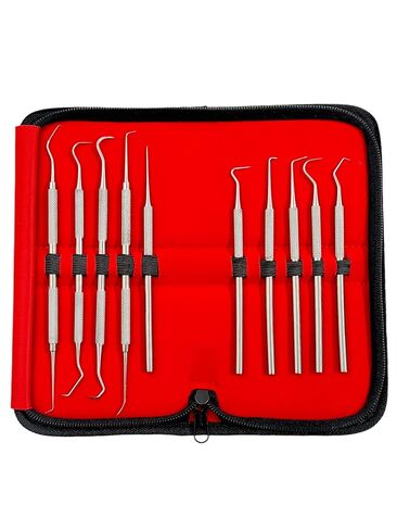 مجموعة التحقيق الدقيقة المكونة من 10 قطع من أخصائي صحة الأسنان تختار العناية بالفم من فردي ومزدوج بأحجام مختلفة - تشمل حالة حمل - أدوات طب الأسنان من الفولاذ المقاوم للصدأ الألماني in Kuwait