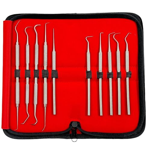 مجموعة التحقيق الدقيقة المكونة من 10 قطع من أخصائي صحة الأسنان تختار العناية بالفم من فردي ومزدوج بأحجام مختلفة - تشمل حالة حمل - أدوات طب الأسنان من الفولاذ المقاوم للصدأ الألماني in Kuwait