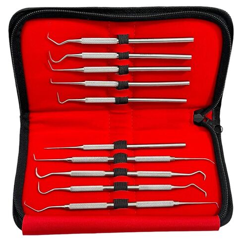 مجموعة التحقيق الدقيقة المكونة من 10 قطع من أخصائي صحة الأسنان تختار العناية بالفم من فردي ومزدوج بأحجام مختلفة - تشمل حالة حمل - أدوات طب الأسنان من الفولاذ المقاوم للصدأ الألماني in Kuwait