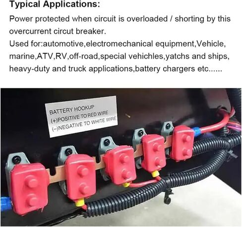 قاطع دائرة 20AMP ​​لقوارب التصيد القوارب البحرية مركبات مقطورة ATV مركبات ستيريو الصوت الإلكترونية النظام الشمسي in Saudi Arabia