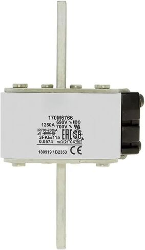 170M6758 170M6759 170M6760 170M6761 170M6762 170M6763 170M6764 170M6765 170M6766 170M6767 170M6768 170M6769 FUSE (170M6767) in Saudi Arabia