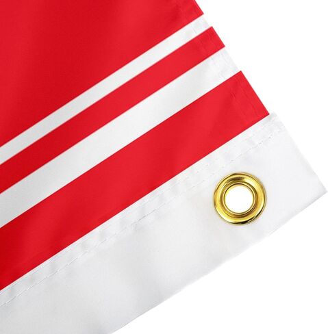 Desert Cactus Arsenal Flag FC Gunners Football Soccer 100 ٪ Polyester Indoor Outdoor 3X5 FET BANNER (Flag F) in Kuwait