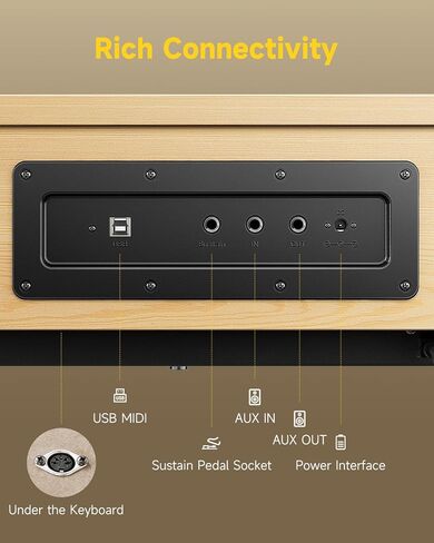 Donner Oura R300 88 لوحة مفاتيح مفاتيح مرجحة للبيانو المتقدم والمنزل الرقمي مع 88 مفتاح مفتاح Hammer Standard Keyborad ، Bluetooth ، Off Off ، 2*15W ، نصف المسار ، 256 Polyphony ، Walnut Wood Color in Kuwait