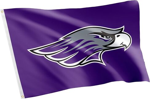 Desert Cactus University of Wisconsin Whitewater UWW Flag - 3 × 5 أقدام لافتة Warhawks ، النسيج المتين الداخلي/الخارجي ، تصميم البوليستر 100 ٪ (النمط 3) in Saudi Arabia