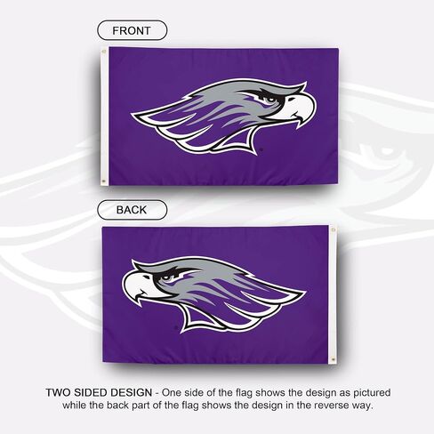 Desert Cactus University of Wisconsin Whitewater UWW Flag - 3 × 5 أقدام لافتة Warhawks ، النسيج المتين الداخلي/الخارجي ، تصميم البوليستر 100 ٪ (النمط 3) in Saudi Arabia