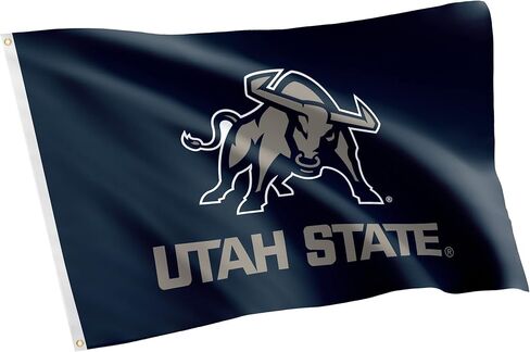 Desert Cactus Utah University Usu Flag - 3 × 5 أقدام لافتة Aggies ، نسيج داخلي/خارجي متين ، تصميم البوليستر بنسبة 100 ٪ (النمط 1) in Saudi Arabia