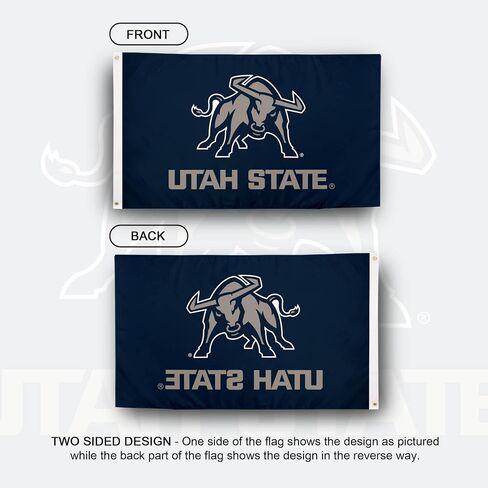 Desert Cactus Utah University Usu Flag - 3 × 5 أقدام لافتة Aggies ، نسيج داخلي/خارجي متين ، تصميم البوليستر بنسبة 100 ٪ (النمط 1) in Saudi Arabia