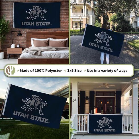 Desert Cactus Utah University Usu Flag - 3 × 5 أقدام لافتة Aggies ، نسيج داخلي/خارجي متين ، تصميم البوليستر بنسبة 100 ٪ (النمط 1) in Saudi Arabia