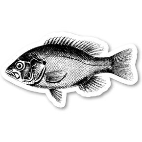 Fish Bass Sticker Laptop Stickers Phone Stickers Stickers - Laptop Stickers - Vinyl Decal - Laptop, Phone, Tablet Vinyl Decal Sticker S215120 (4 Inches)