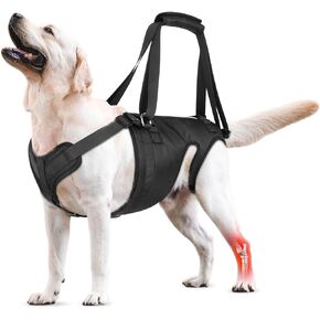 Dog Lift Harness, Dog Sling for Large Medium Dogs' Hind Leg Support Pee-Able. Ideal for Seniors, Disabled, Injured & Arthritic Dogs in ACL Recovery, Secure Harness for Assisted Mobility