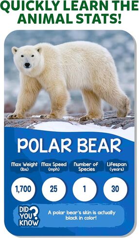 Skillmatics Trump Card Game - Rank Up Animals, Memory Game, Perfect for Boys, Girls, Kids, and Families Who Love Board Games, Travel Friendly, Gifts for Ages 7, 8, 9 and Up in Saudi Arabia