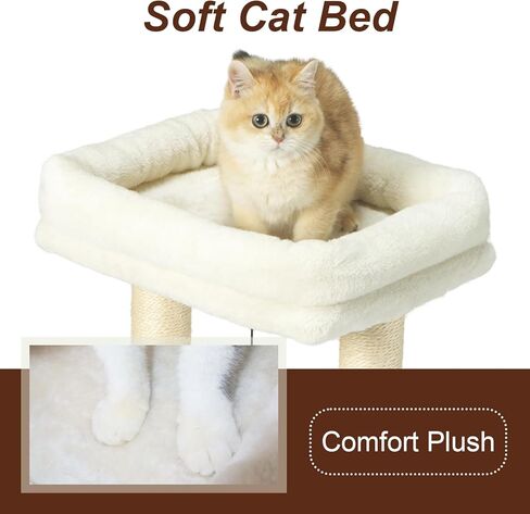 شجرة قطط صغيرة للقطط الداخلية، عمود خدش من السيزال مع برج وكرة مسار، ألعاب كروية معلقة، سرير مجثم ناعم، فرشاة تدليك ذاتي، بيج in Kuwait