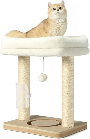 شجرة قطط صغيرة للقطط الداخلية، عمود خدش من السيزال مع برج وكرة مسار، ألعاب كروية معلقة، سرير مجثم ناعم، فرشاة تدليك ذاتي، بيج in Kuwait