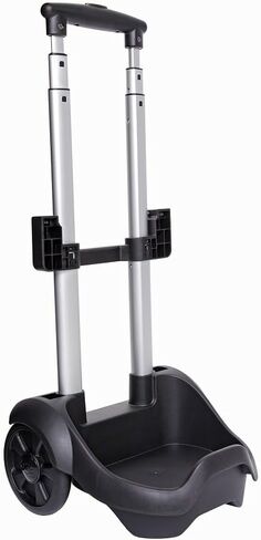 GCE Zen-O CART in Kuwait