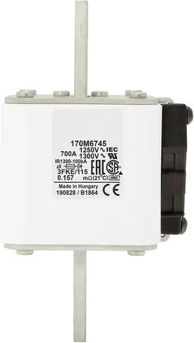 170M6700 170M6701 170M6750 170M6751 170M5700 170M5750 FUSE (170M6751) in Saudi Arabia
