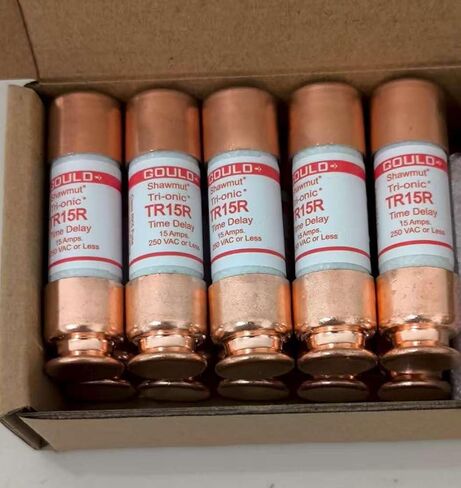Gould Shawmut TR15R Fuse, Class RK Time Delay, 250V, 15A, Pack of 10 in Saudi Arabia