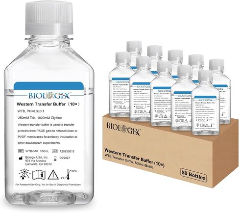 Western Blot Transfer Buffer (10×), WTB for Western Blot Analysis, 500mL, Single Bottle in Saudi Arabia