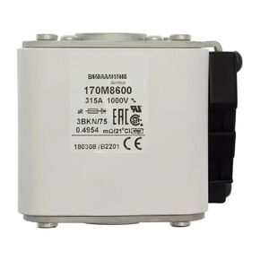 170M8600 170M8601 170M8602 170M8603 170M8604 170M8605 170M8606 170M8607 170M8608 170M8609 170M8610 170M8611 Fuse(170M8609) in Saudi Arabia